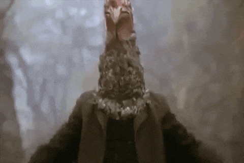a person with a turkey head on their head in a forest .