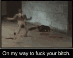 a picture of a pig and a cat with the words on my way to fuck your bitch .