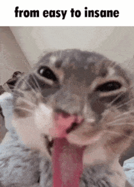a close up of a cat with its tongue hanging out and the words from easy to insane above it