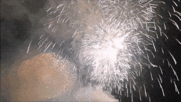 a fireworks display with a lot of white fireworks going off
