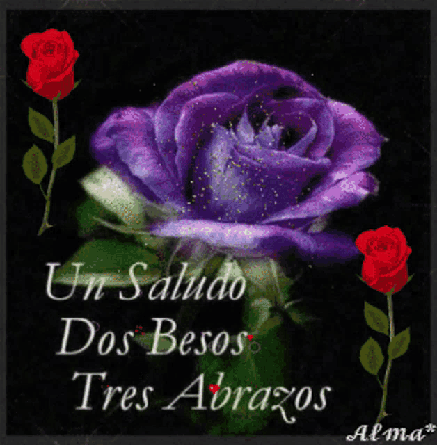 a purple rose with the words " un saludo dos besos tres abrazos "