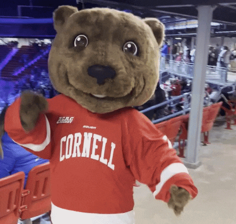 a mascot wearing a cornell jersey stands in a stadium