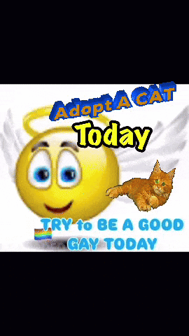 a smiley face with wings and the words adopt a cat today on it