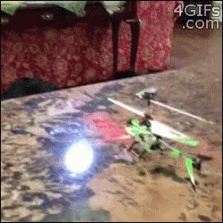 Dog Helicopter GIF - Dog Helicopter GIFs