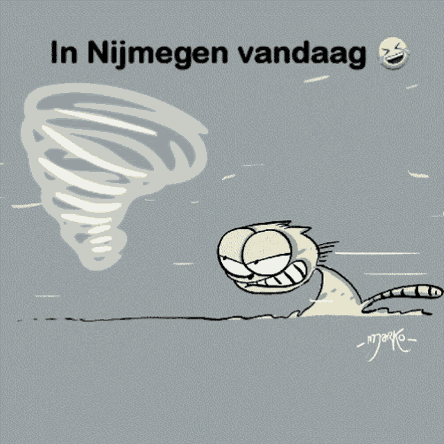 Hurricane Windy GIF - Hurricane Windy Nijmegen GIFs