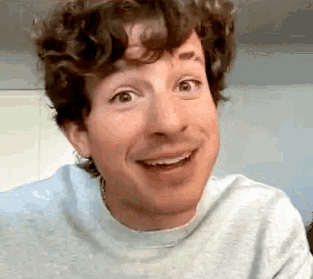 a man with curly hair is smiling and looking at the camera while wearing a grey sweater .