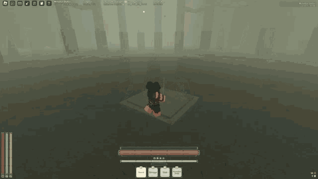 a screenshot of a video game shows a person standing in the middle of a foggy area
