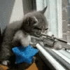 Cats Sniper GIF - Cats Sniper Gun GIFs