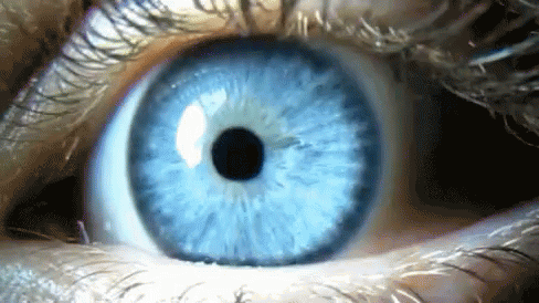 Blue Eye Blink GIF - Blue Eye Eye Blink GIFs