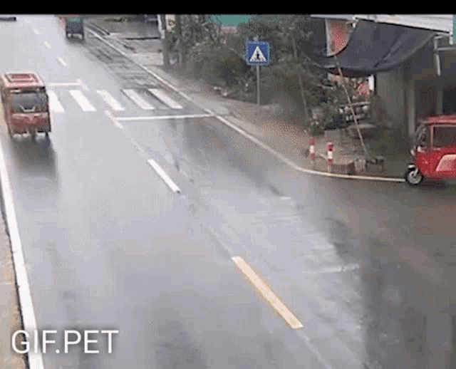 Gif Pet Accident GIF - Gif Pet Accident Survive GIFs