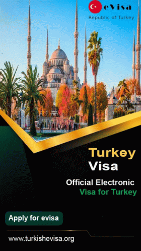 Turkey Visa Online GIF - Turkey Visa Online GIFs