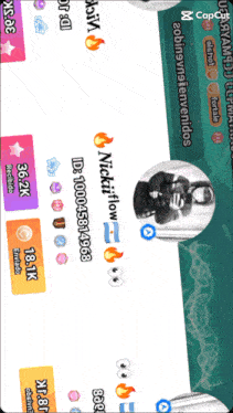 a screenshot of a game with the name nickliflow