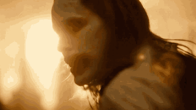 a close up of a woman 's face with the sun shining behind her