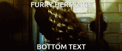 Hermione Harry Potter GIF - Hermione Harry Potter Hermione Granger GIFs