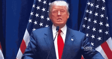 Donald Trump Trump GIF - Donald Trump Trump Breathing GIFs
