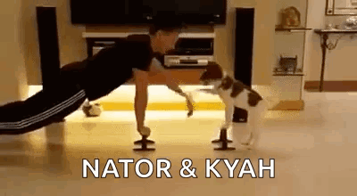 Exercise Work Out GIF - Exercise Work Out Puppy GIFs