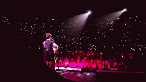 😭 GIF - Shawn Mendes Singing Concert GIFs