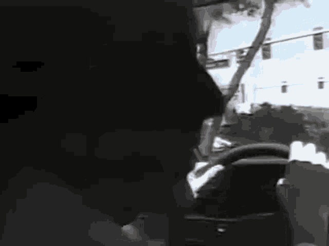 a black and white photo of a person driving a car with a palm tree in the background .