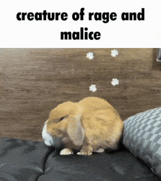 a brown rabbit is laying on a bed with the words creature of rage and malice above it .