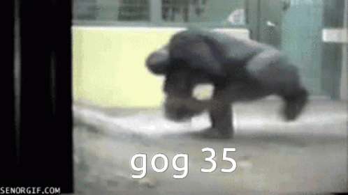 Gog Gog35 GIF - Gog Gog35 Gogcord GIFs