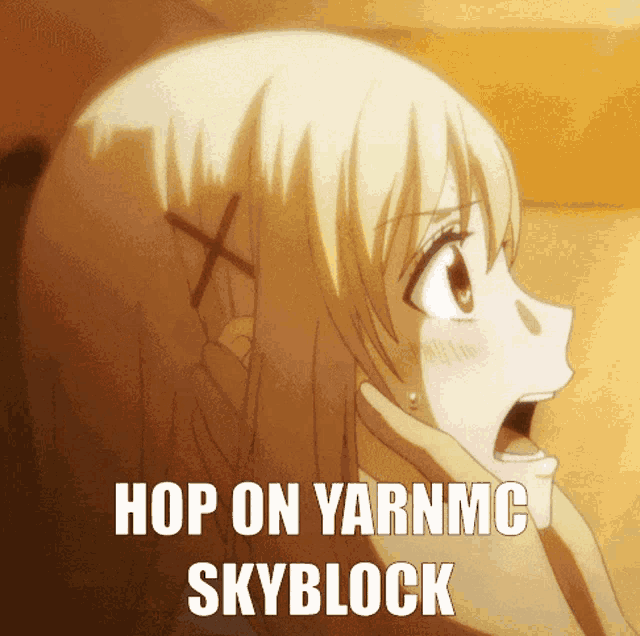 a picture of a girl with the words hop on yarnmc skyblock written on it