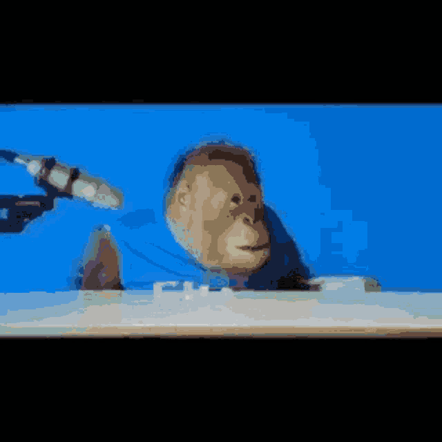 a monkey is sitting at a table with a microphone .