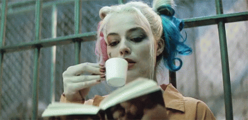 Dc Suicide Squad GIF - Dc Suicide Squad Harley Quinn GIFs