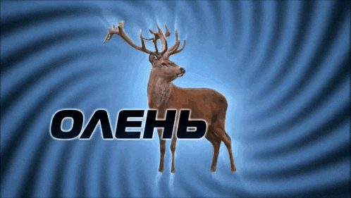 a deer stands in front of a blue background with the word олень on it
