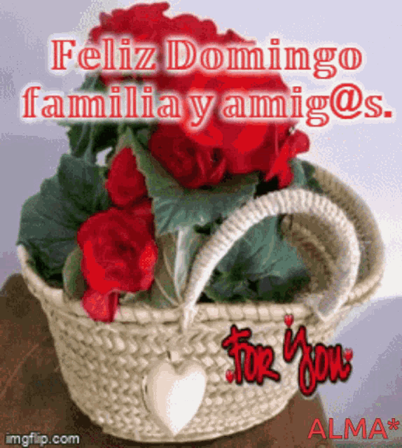 Feliz Domingo Familia Y Amigos GIF - Feliz Domingo Familia Y Amigos GIFs