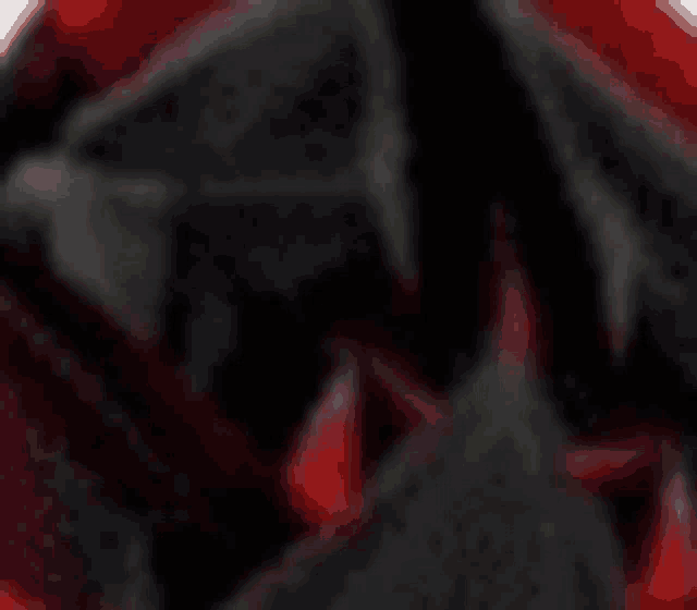 a close up of a black and red object on a white background