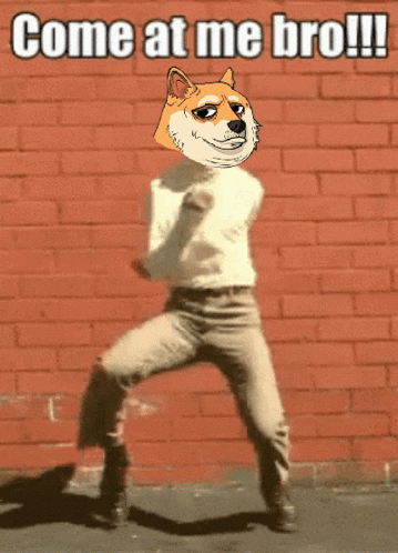 a picture of a dog with the words come at me bro written on it