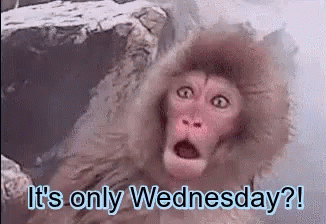 Wednesday Its Only Wednesday GIF - Wednesday Its Only Wednesday Hump Day GIFs