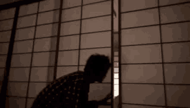 a man is standing in front of a sliding door in a dark room .