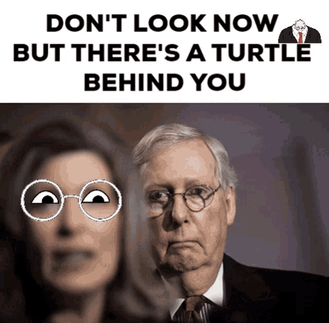 Turtle Mitch GIF - Turtle Mitch Politics GIFs