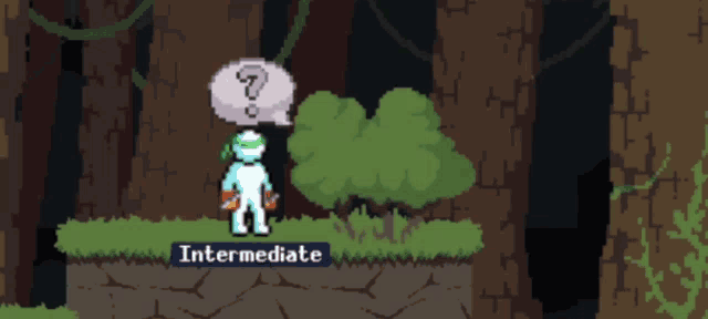 a pixel art of a person with a question mark above their head and the word intermediate below