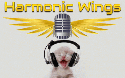 Funny Cat Funny Musician GIF - Funny Cat Funny Musician Music GIFs