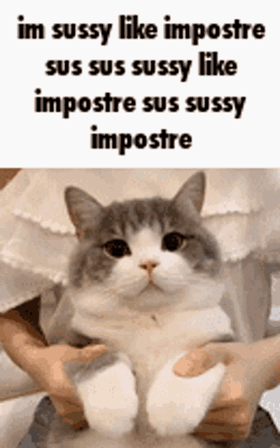 Imposter Sussy GIF