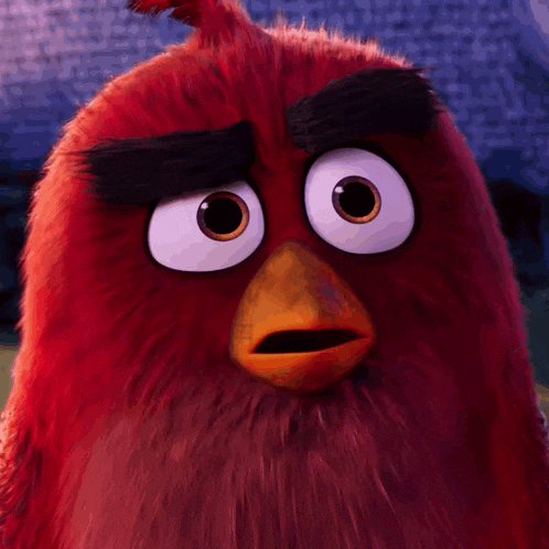 a close up of an angry bird making a funny face