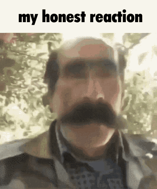a man with a mustache has the words " my honest reaction " written above him