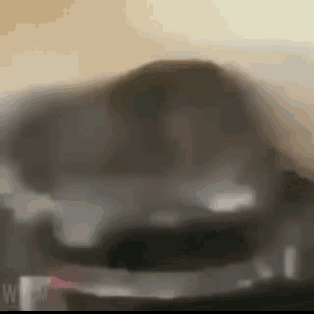 Cat Spin GIF - Cat Spin Spinning GIFs