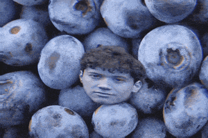a pile of blueberries with a boy 's face visible in the middle