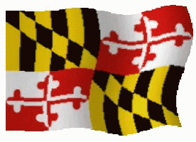 Maryland Flag GIF - Maryland Flag GIFs