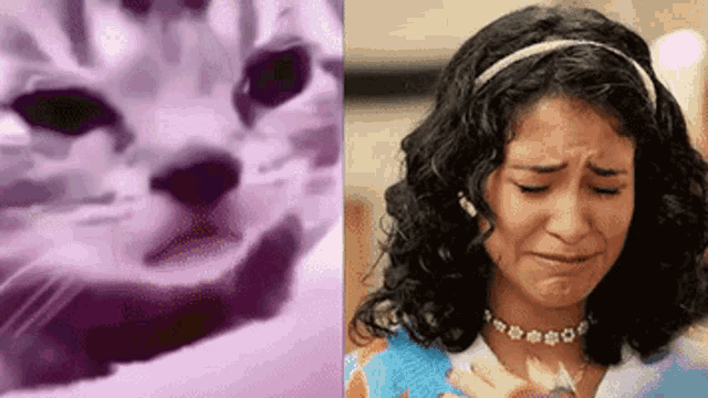 Andrea Chaparro Rebelde Netflix GIF - Andrea Chaparro Rebelde Netflix Crying Cat GIFs