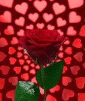 Deepak Rose Hearts GIF - Deepak Rose Hearts GIFs