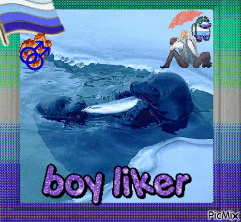 a picture of a seal eating a fish with the words boy liker on the bottom