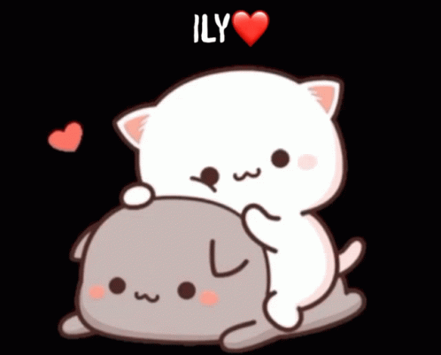 Hug Cat GIF - Hug Cat Love GIFs