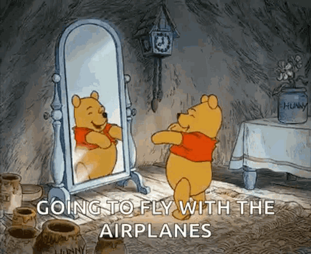 winnie the pooh is looking at himself in the mirror and saying he is going to fly with the airplanes
