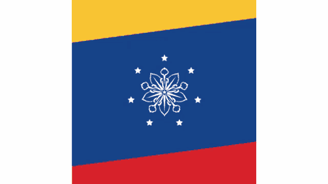 a venezuela flag with a white flower and stars