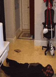 a person laying on the floor next to a chair