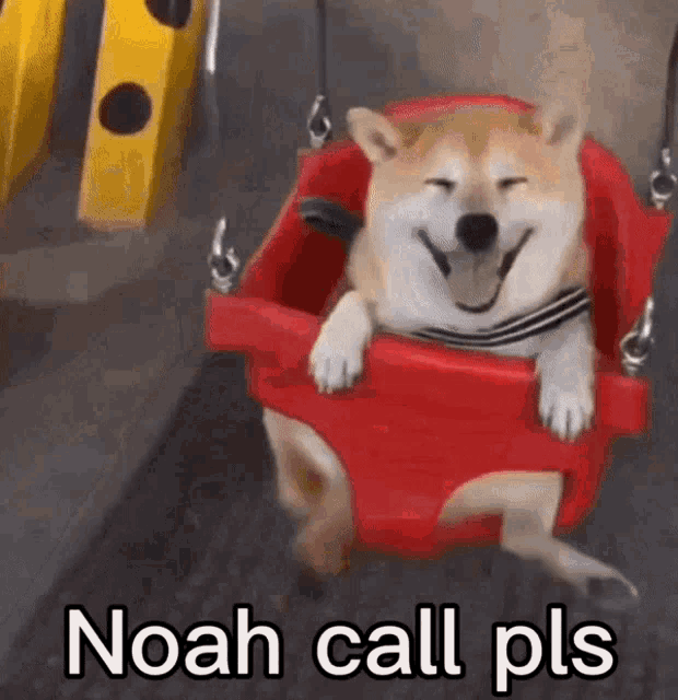 Noah Call Pls GIF - Noah Call Pls GIFs
